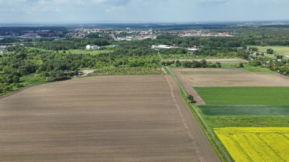 Działka Sprzedaż Goleniów